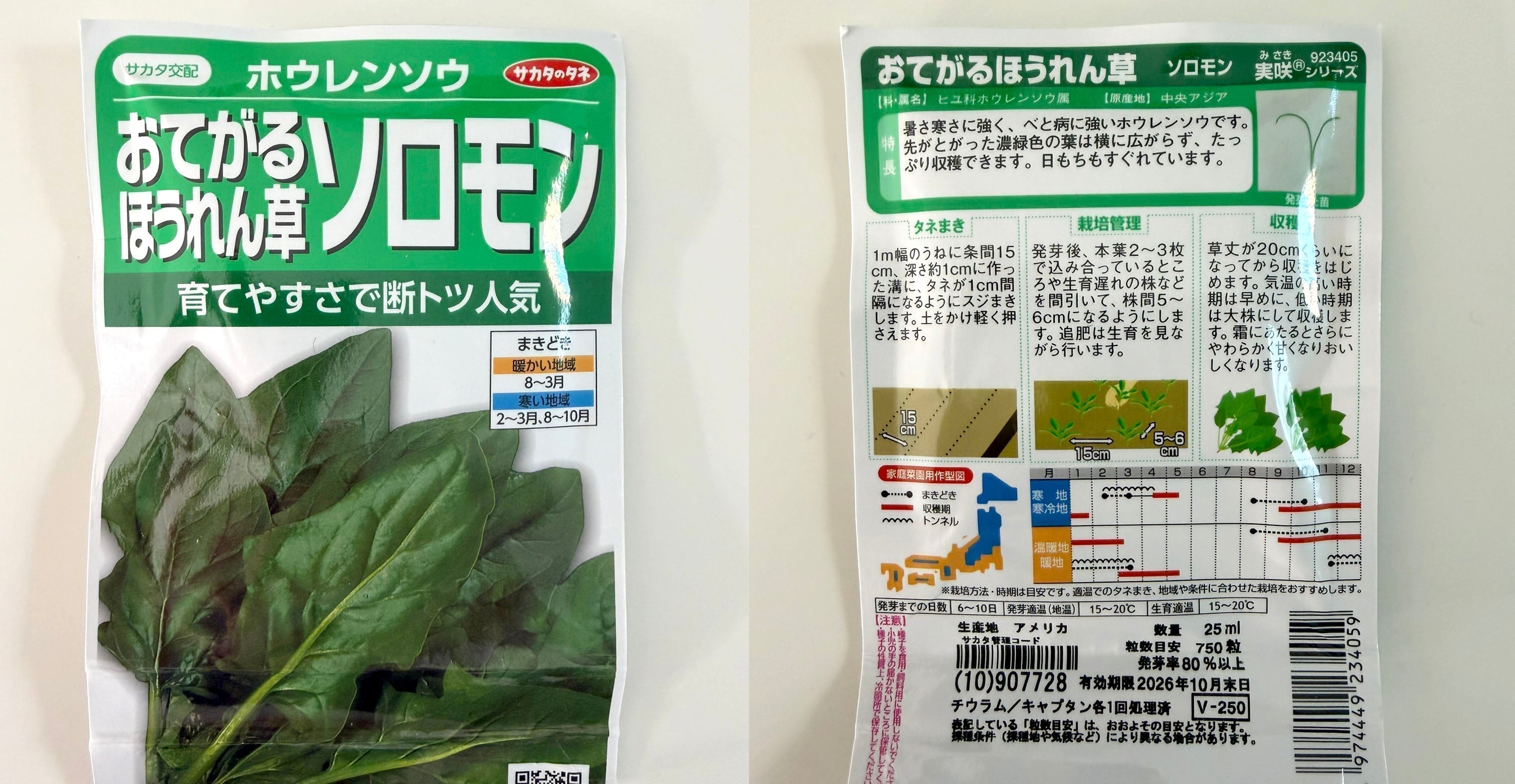 ほうれん草はじめました