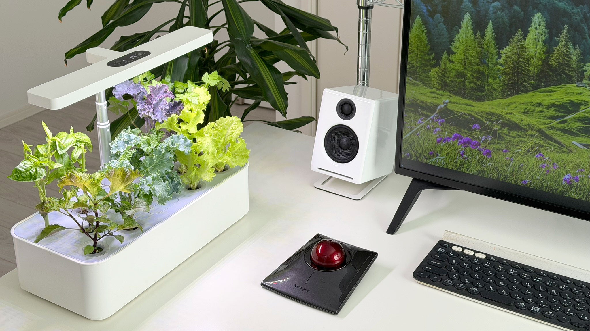 水の庭 W1501 水耕栽培機