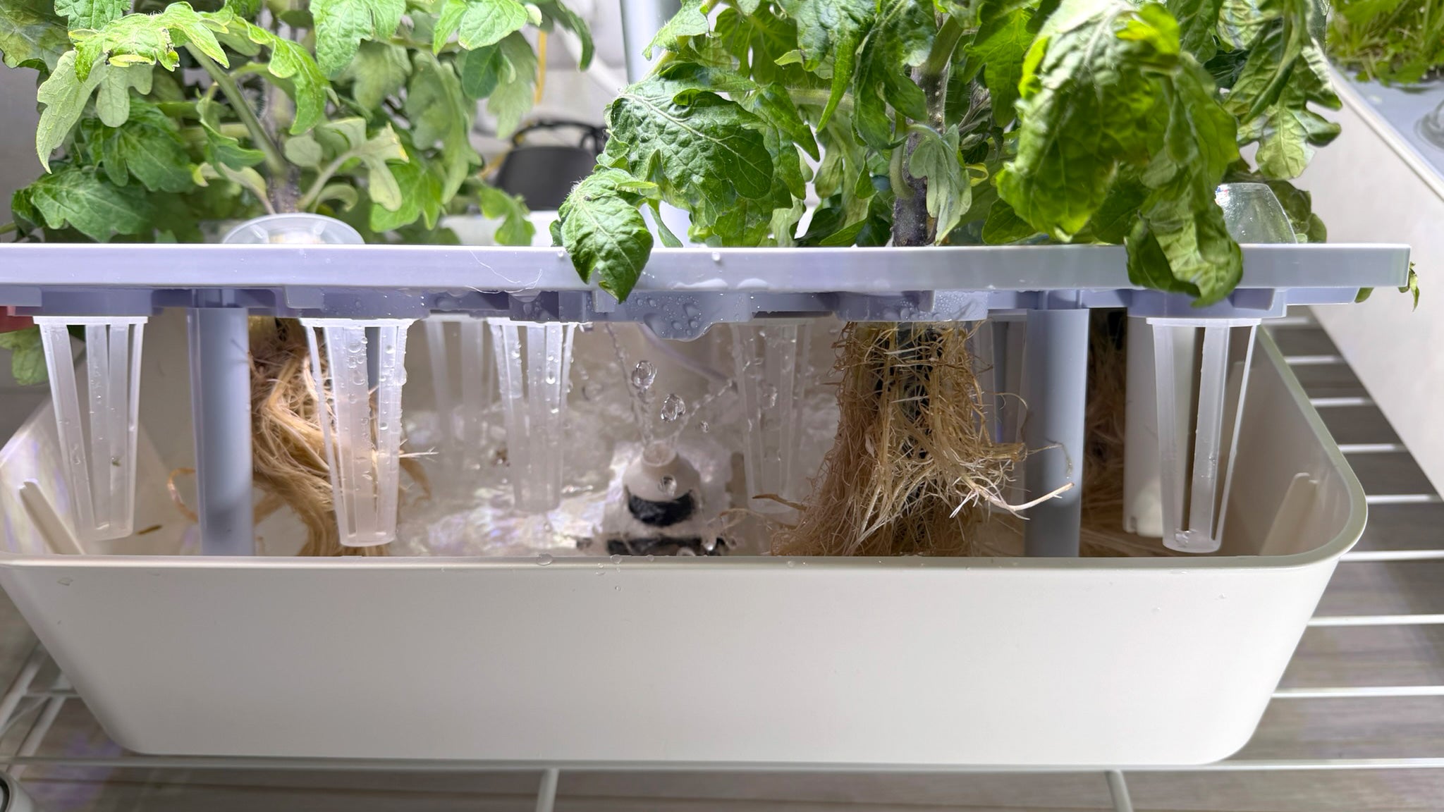 水の庭 W1501 水耕栽培機