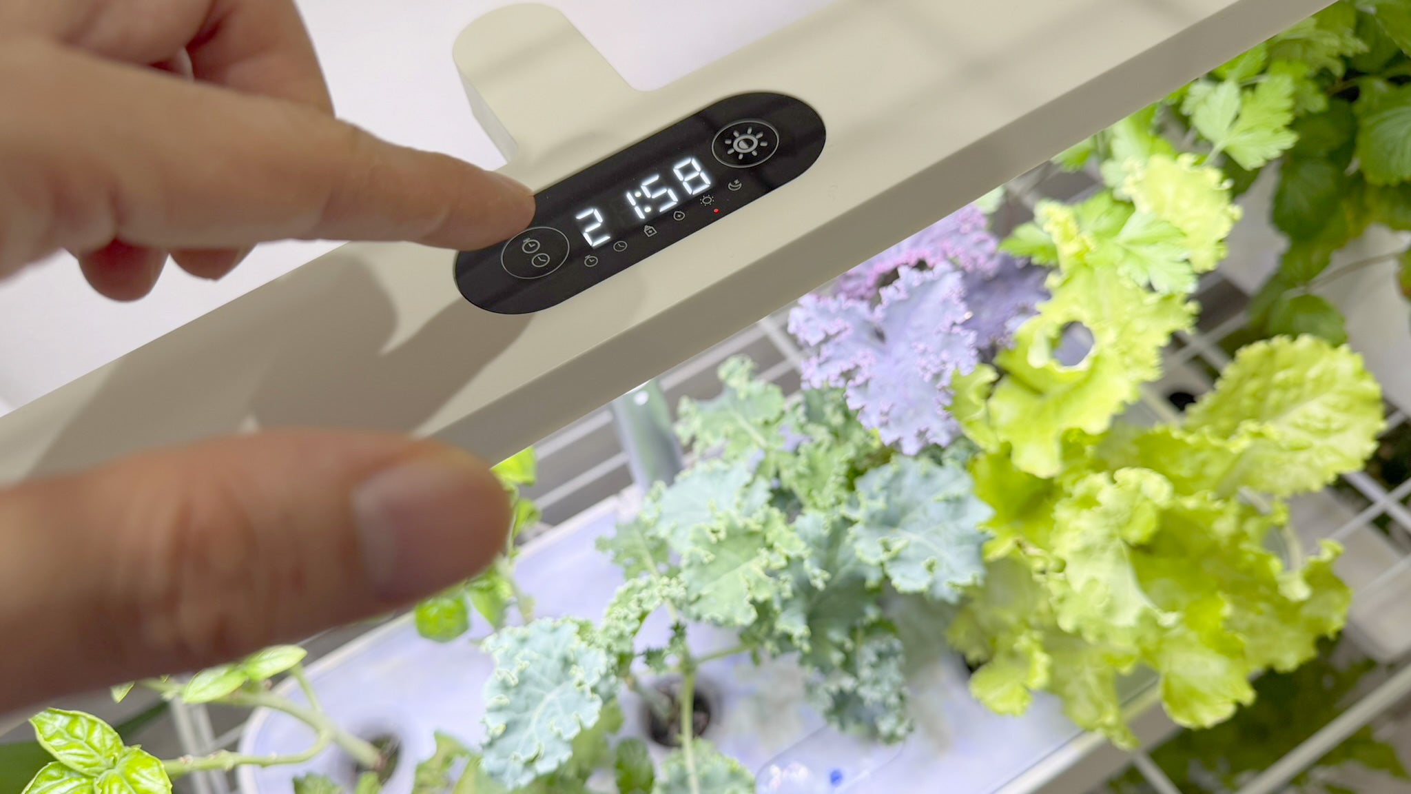 水の庭 W1501 水耕栽培機