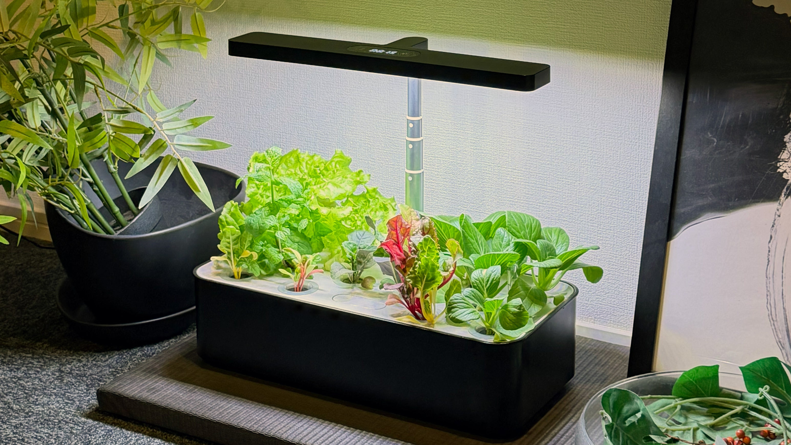 水の庭 水耕栽培機 W1501