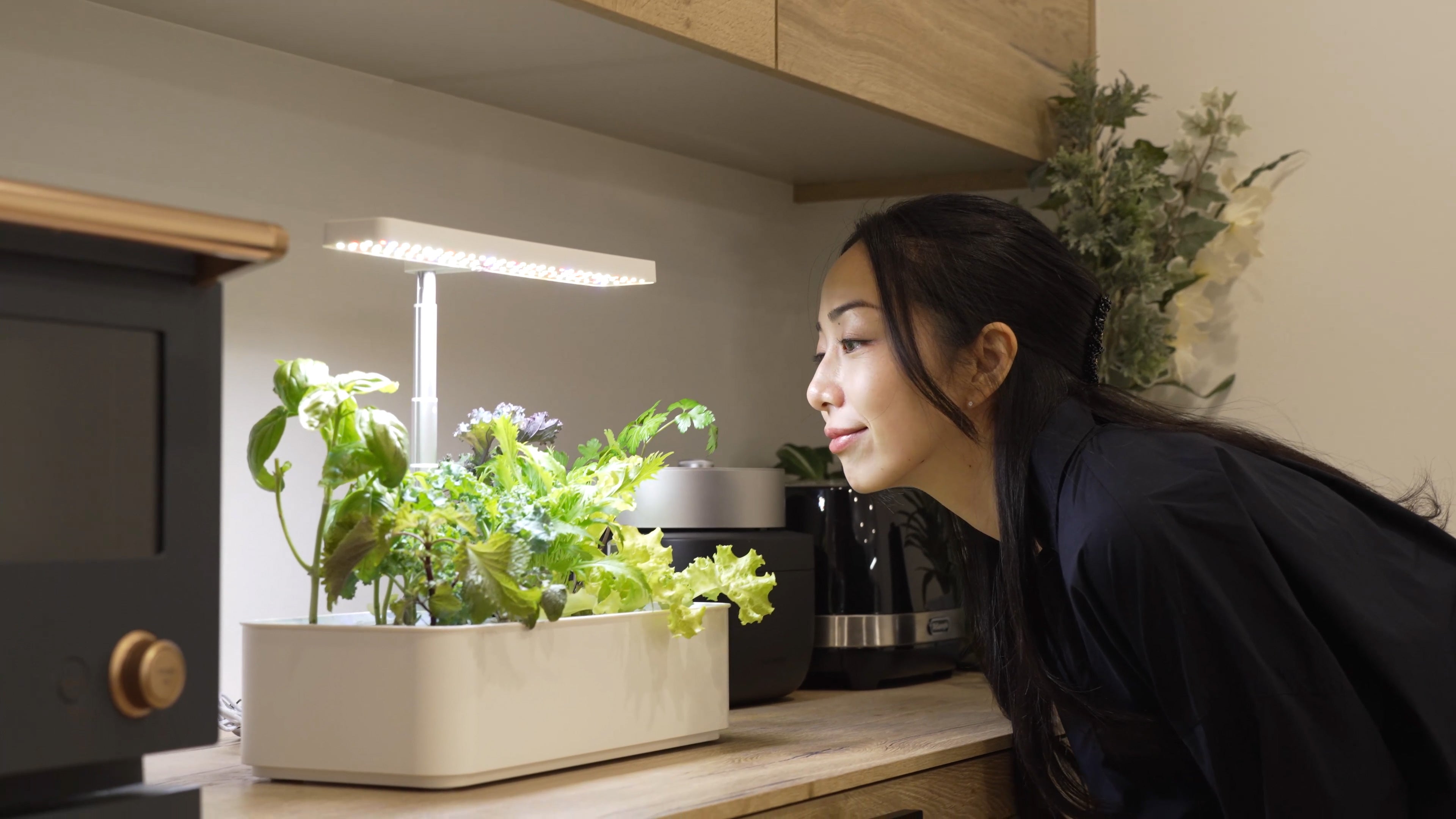 水の庭 W1501 家庭用水耕栽培機