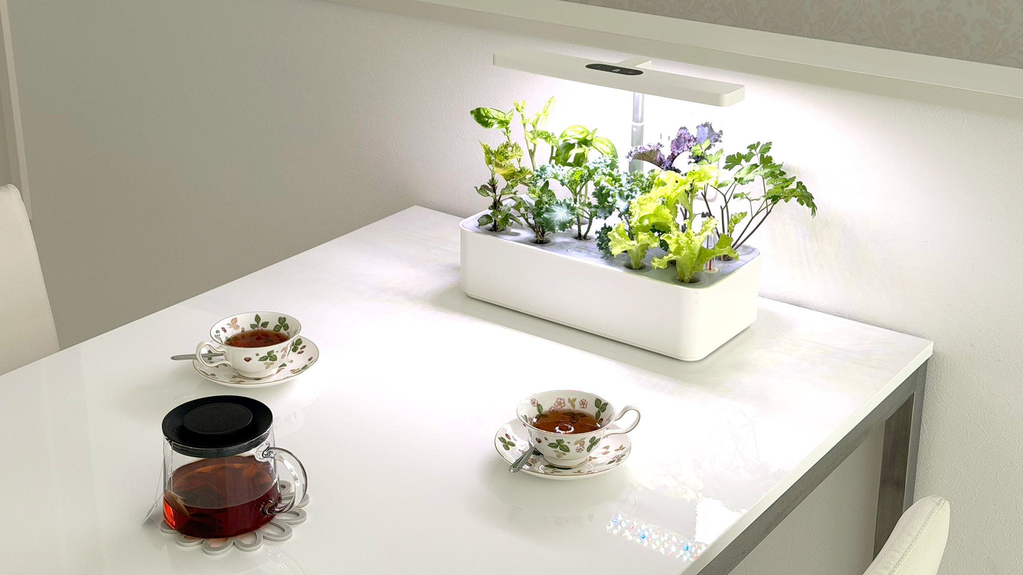 水の庭 W1501 家庭用水耕栽培機