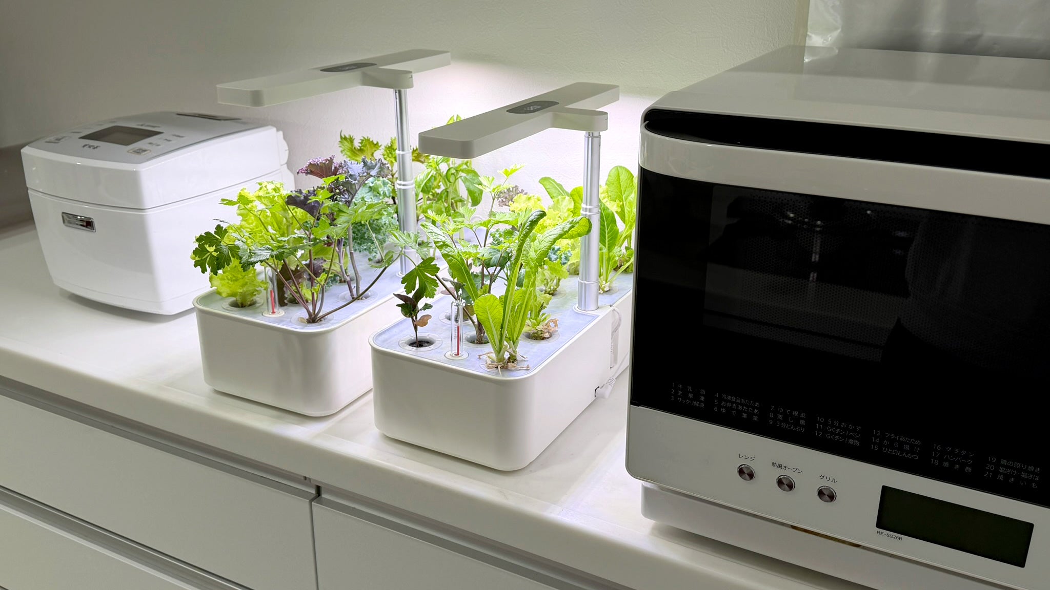 水の庭 W1501 家庭用水耕栽培機