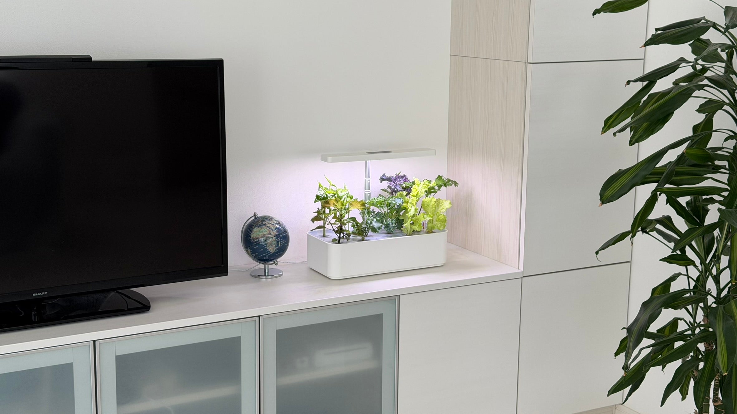 水の庭 W1501 家庭用水耕栽培機