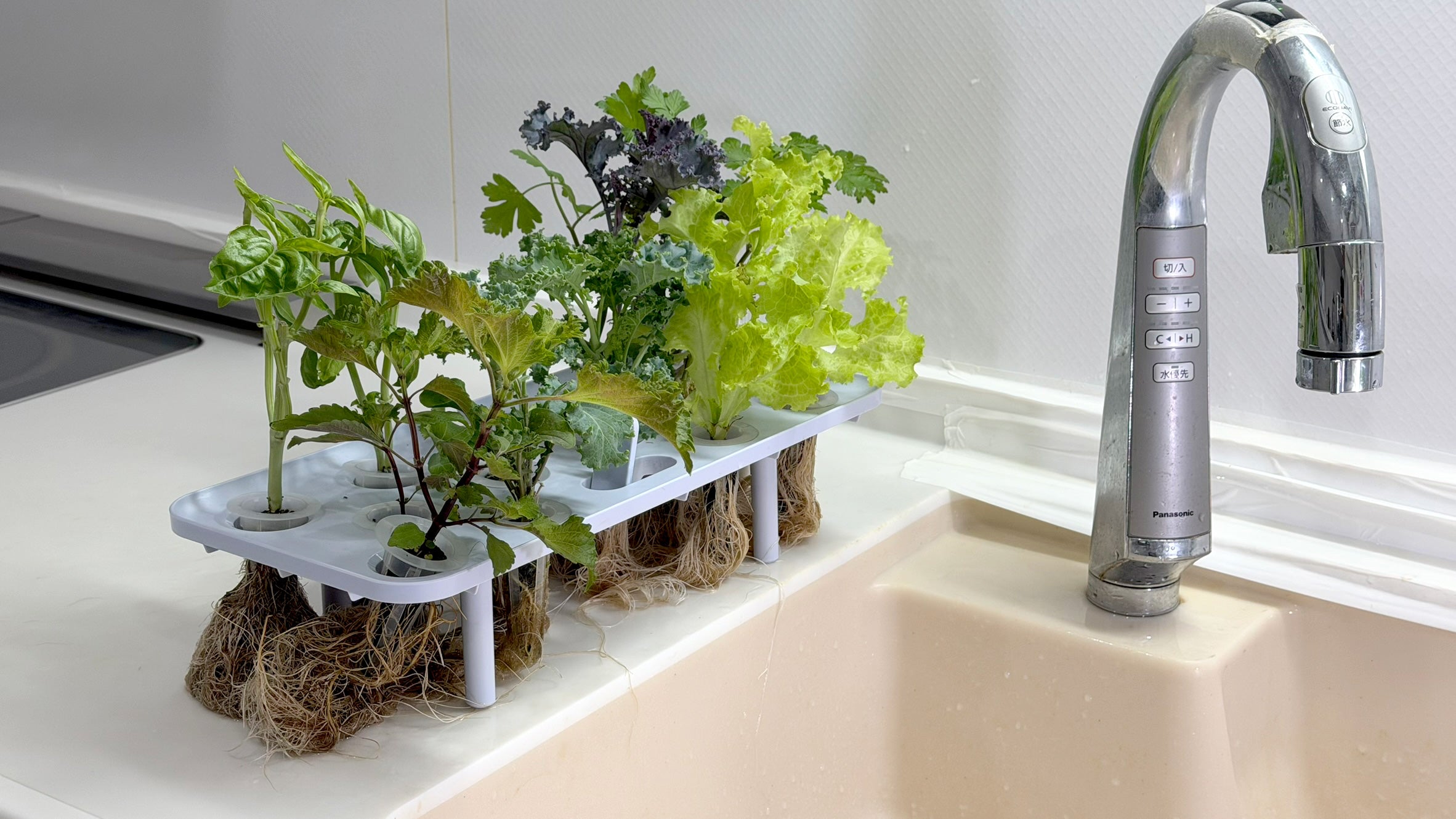 水の庭 W1501 水耕栽培機