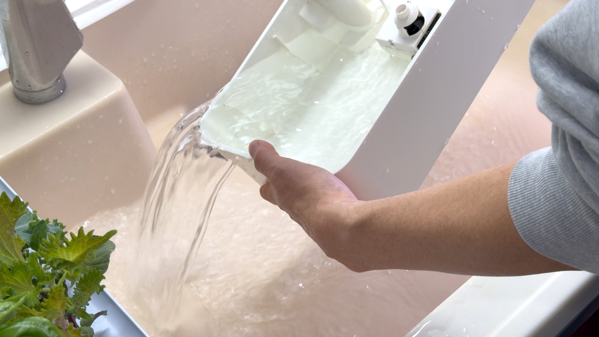 水の庭 水耕栽培機 W1501