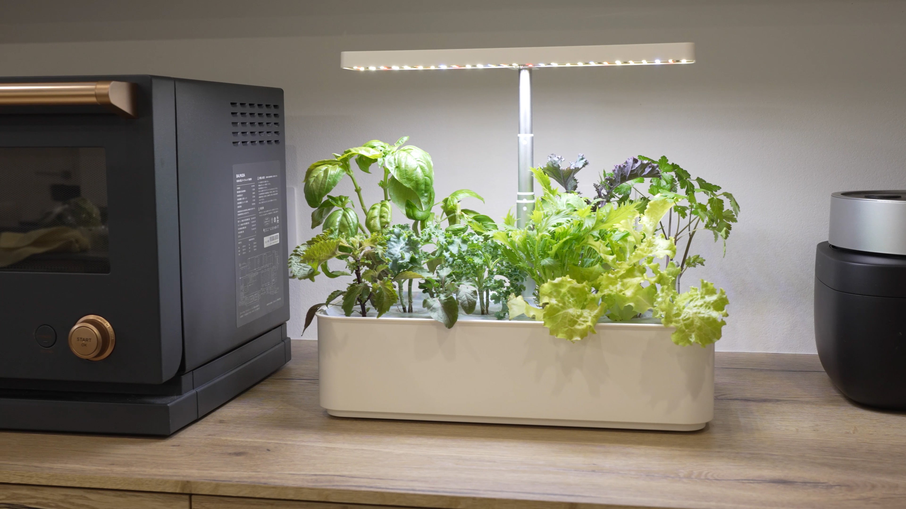 水連の庭 水の庭